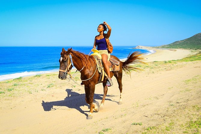 Horseback Riding Tour in Los Cabos - Safety briefing, Baja cactus trails, and expert horse handling