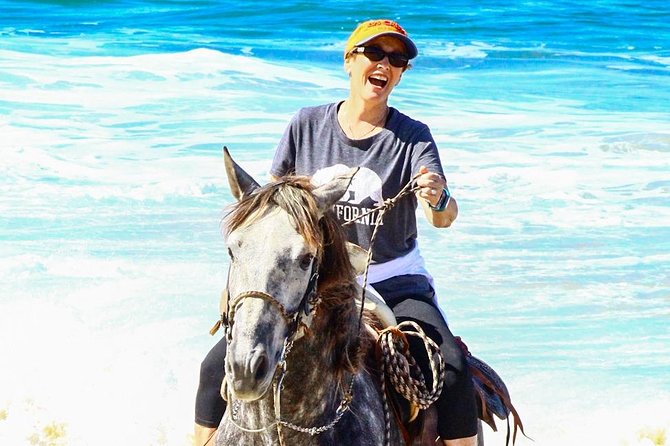 Horseback Riding Tour in Los Cabos - Horses, guides, and the animal-welfare question you should ask