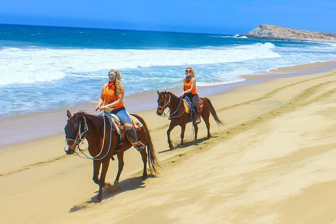 Horseback Riding Tour in Los Cabos - Who this tour fits best (and who should think twice)