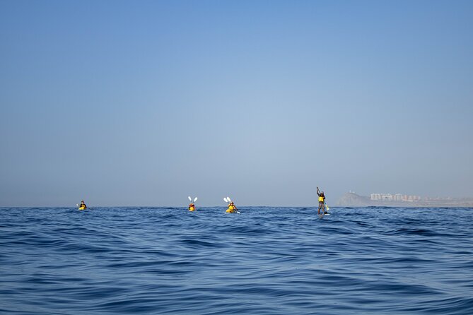 Kayak from Viudas Beach to Chileno Bay & Snorkel + Beach Time - Snorkeling at Chileno Bay Reef: Gear, Comfort, and What to Expect