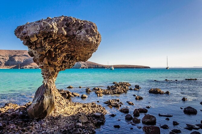 La Paz, Balandra and Todos Santos from CABO and San Jose - La Paz: Lunch With Real Regional Options and a Quick Murals-and-Streets Reset