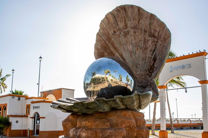 La Paz City Tour from Cabo - The ride experience: air-conditioning helps, but start early and stay flexible