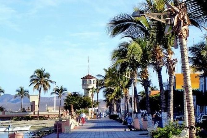 La Paz Whale Shark Snorkeling Tour and Lunch From Los Cabos - Price and value: is $259 worth it?