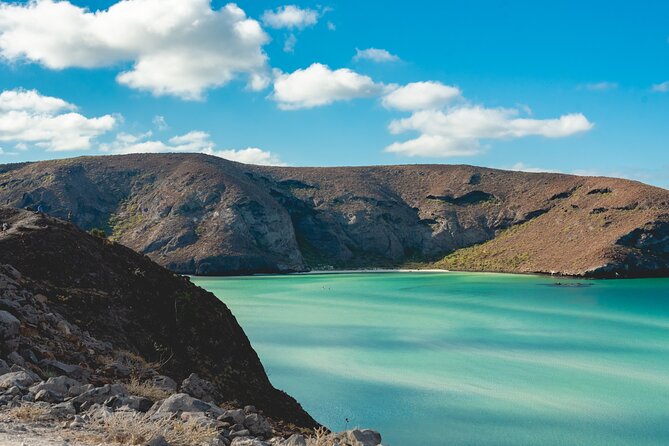 La Paz World Class Snorkeling in Balandras Hidden Beaches - Snorkeling, Coral, Sea Lions, and the Jellyfish Factor