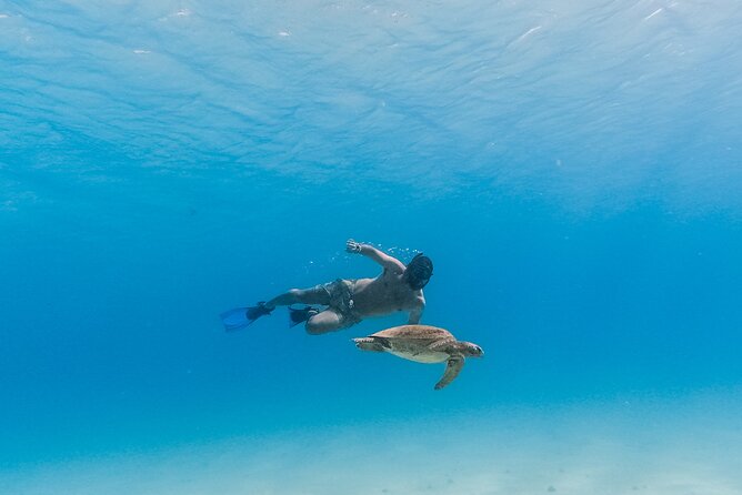 La Paz World Class Snorkeling in Balandras Hidden Beaches - Food, Drinks, and Crew Service: Why People Keep Recommending It