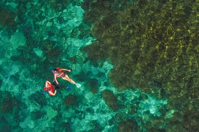 La Paz World Class Snorkeling in Balandras Hidden Beaches - Price and Logistics: The Real Cost of a Day on the Water