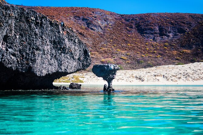 La Paz World Class Snorkeling in Balandras Hidden Beaches - Who Should Book This La Paz and Balandra Catamaran Tour?