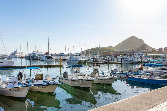 Land’s End Experience – Arch, Beaches & Marine Life - Marine life viewing: when the glass-bottom works best