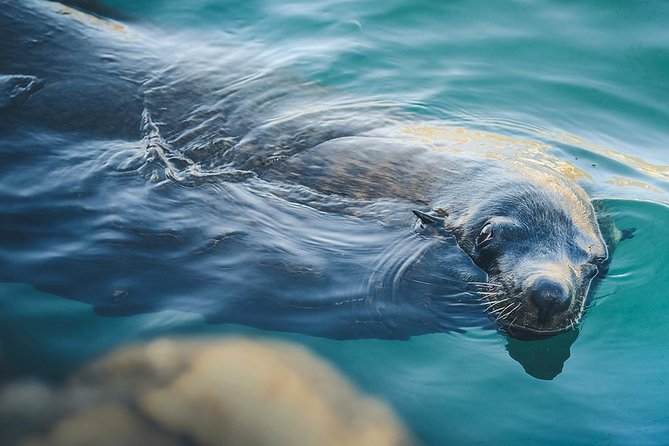 Land’s End Experience – Arch, Beaches & Marine Life - Price and what you should plan to pay