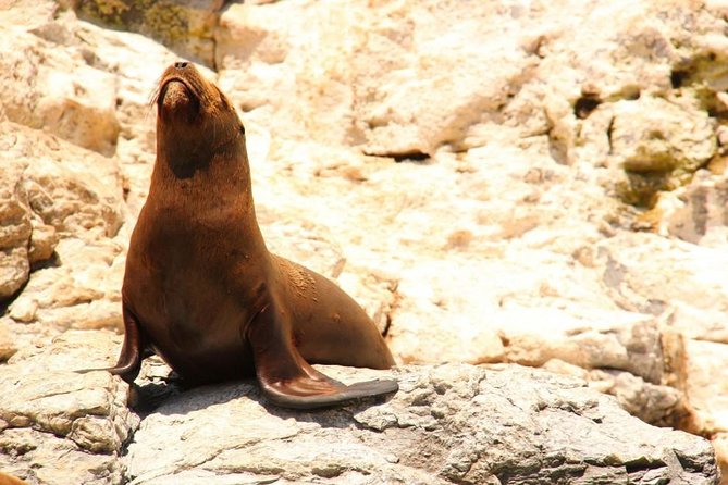 Land's End Sightseeing Boat Tour in Los Cabos - Stop 2: Playa de los Amantes (Lover’s Beach) and the “Conditions Matter” Part