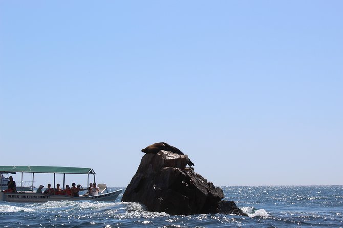 Land's End & Snorkel Tour in a Glass Bottom Boat (VisitA Cabo) - Pelican’s Rock and the Arch: The Snorkeling Part That Matters