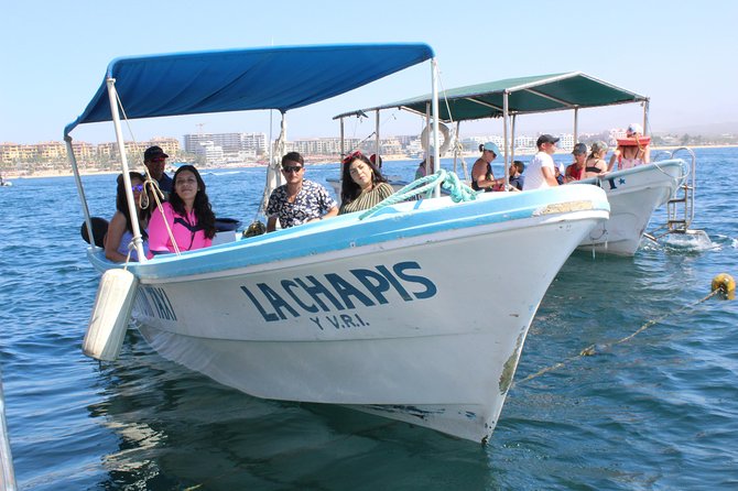 Land's End & Snorkel Tour in a Glass Bottom Boat (VisitA Cabo) - Price, Value, and the $1 Dock Fee Reality Check
