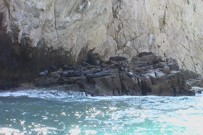 Land's End Tour Basic - The Route of Landmarks: Lover’s Beach, Pelican Rock, and the Arch