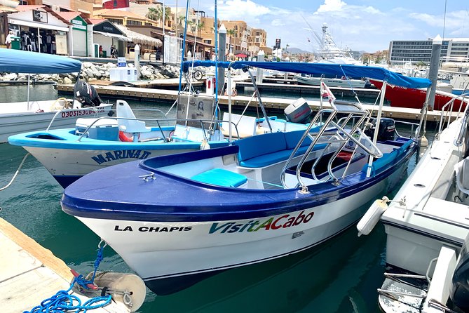 Land's End Tour in a Glass Bottom Boat - How the Glass-Bottom Boat Viewing Works (and What You’ll Notice)