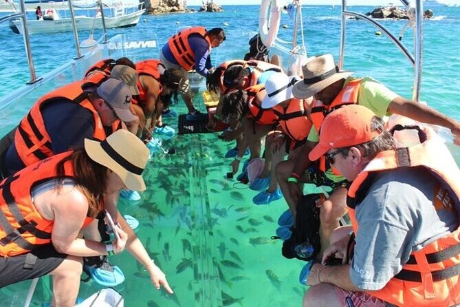 Lands End Tour by Clear Boat in Cabo San Lucas - Key points I’d plan around