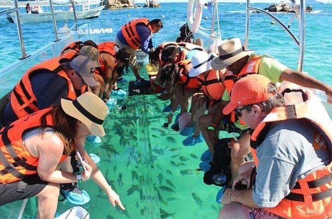 Lands End Tour by Clear Boat in Cabo San Lucas - Neptune’s Finger (Baja Upside Down) and the Cruise-By Landmarks