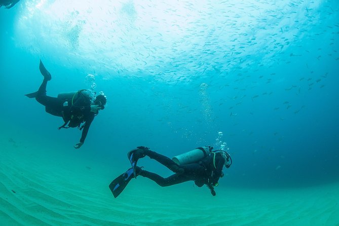 Learn to Scuba Dive in Cabo San Lucas with PADI - Pickup, timing, and how not to miss the departure