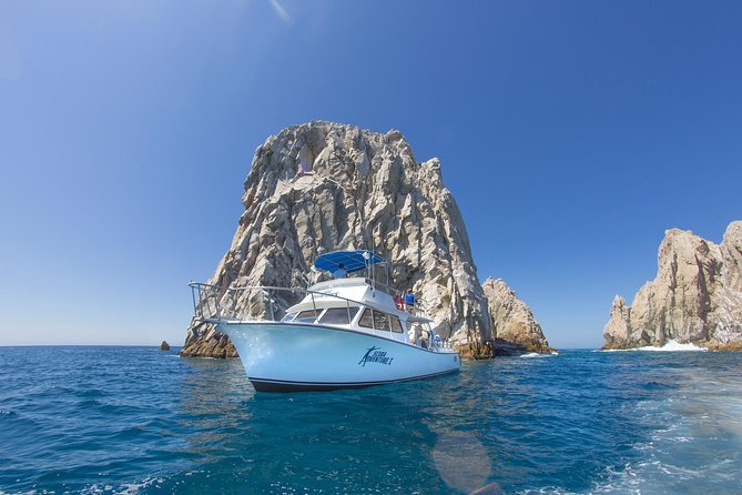 Learn to Scuba Dive in Cabo San Lucas with PADI - Who this scuba training fits best (and who should reconsider)