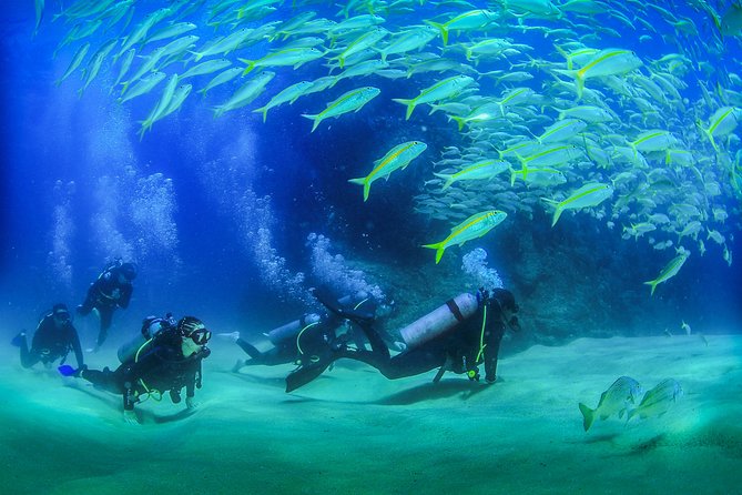 Learn to Scuba Dive in Cabo San Lucas with PADI - Pelican Rock and El Arco: what to expect during the ocean session