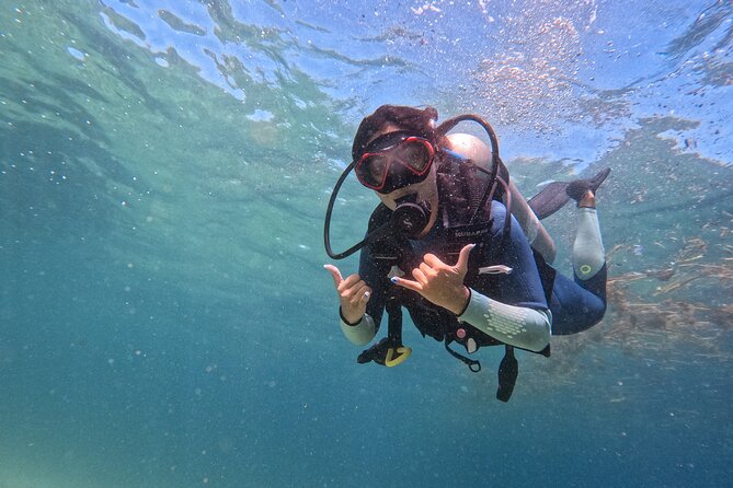 Los Cabos 1 tank dive to Land’s End (Certified Divers) - Key highlights from this Land’s End outing