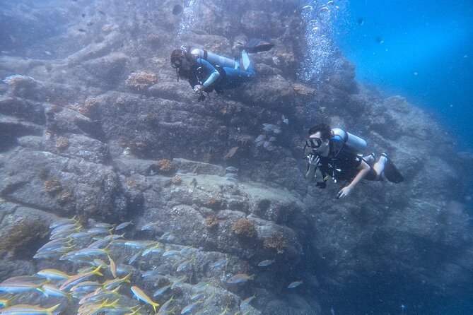 Los Cabos 1 tank dive to Land’s End (Certified Divers) - Sea of Cortez meeting the Pacific: why this area is special