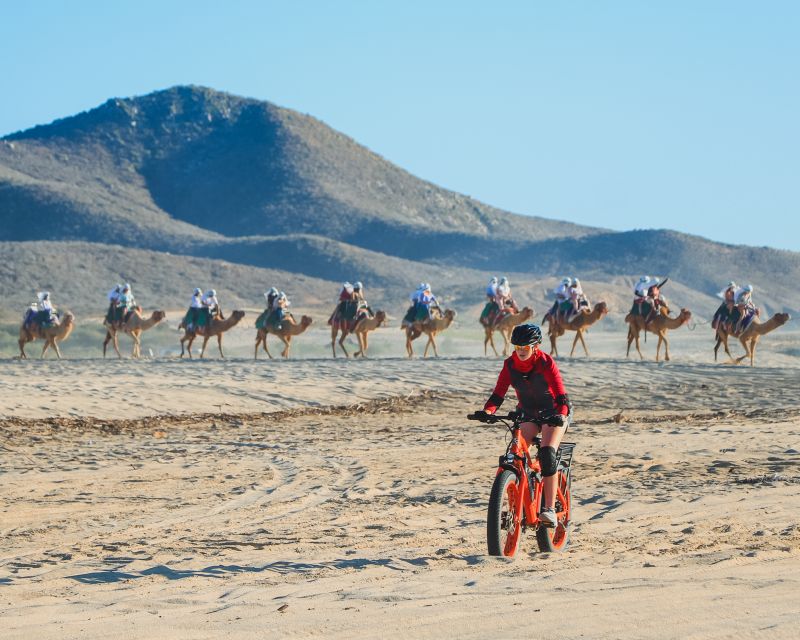 Los Cabos: 2 in 1 Combo Tour - Who this tour is best for (and who should skip it)