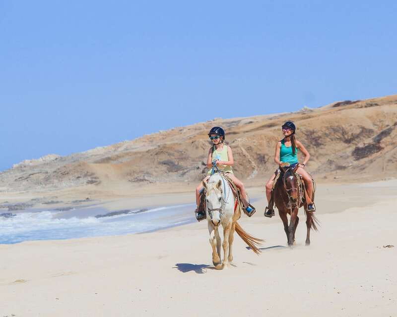 Los Cabos: 2 in 1 Combo Tour - Stop One: Camel or horseback on Cabo’s white-sand beaches