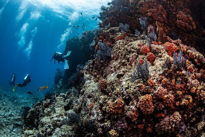 Los Cabos 2 tanks dive to The Corridor (Certified divers) - El Arco from the boat: why that quick stop is worth the wait