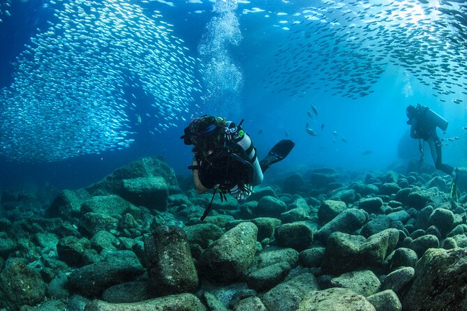 Los Cabos 2 tanks dive to The Corridor (Certified divers) - Price and value: is $147 really fair for Cabo scuba?