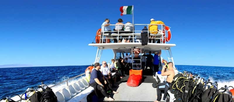 Los Cabos 3-Hour Certified Scuba Diving Tour - The best-known Cabo locations: Pelican Rock to Sand Falls