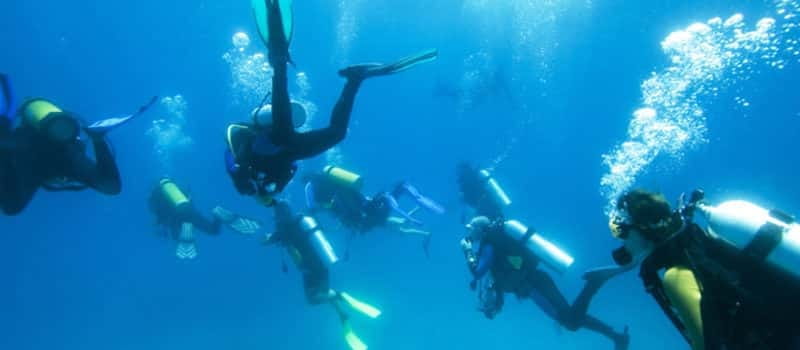 Los Cabos 3-Hour Certified Scuba Diving Tour - The schedule on water: how the 3.5 hours usually plays out