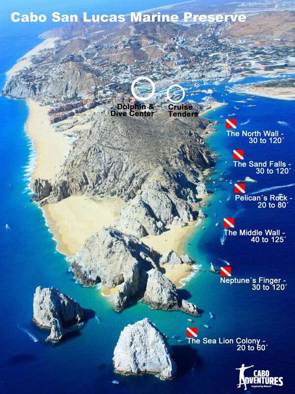 Los Cabos 3-Hour Certified Scuba Diving Tour - Safety briefing and certified beginner comfort