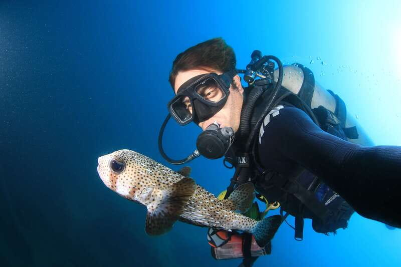 Los Cabos 3-Hour Certified Scuba Diving Tour - Price reality check: gear rental, photos, and extra fees