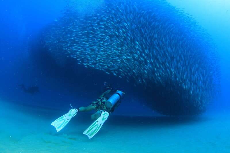 Los Cabos 3-Hour Certified Scuba Diving Tour - What to bring so you feel smooth, not rushed