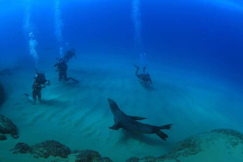 Los Cabos 3-Hour Certified Scuba Diving Tour - Pickup to boat time: the Cabo logistics that matter