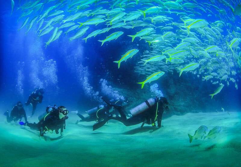 Los Cabos: 3-Hour Introductory Scuba Diving Adventure - The 30-minute orientation and shallow-water skills check