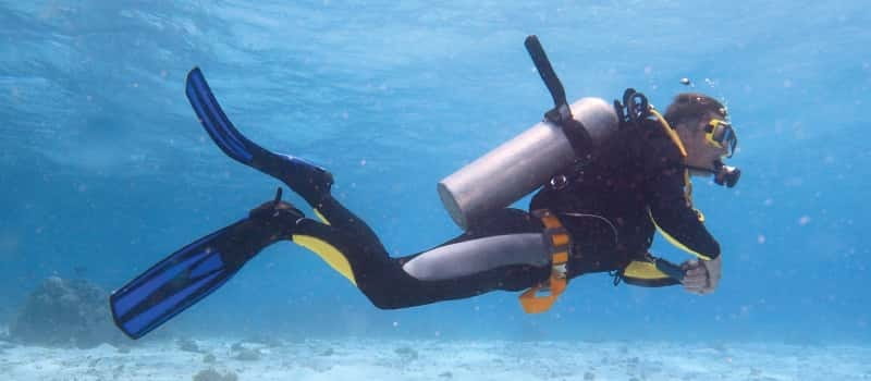 Los Cabos: 3-Hour Introductory Scuba Diving Adventure - Your one-tank ocean session: depth, visibility, and what you’ll look for