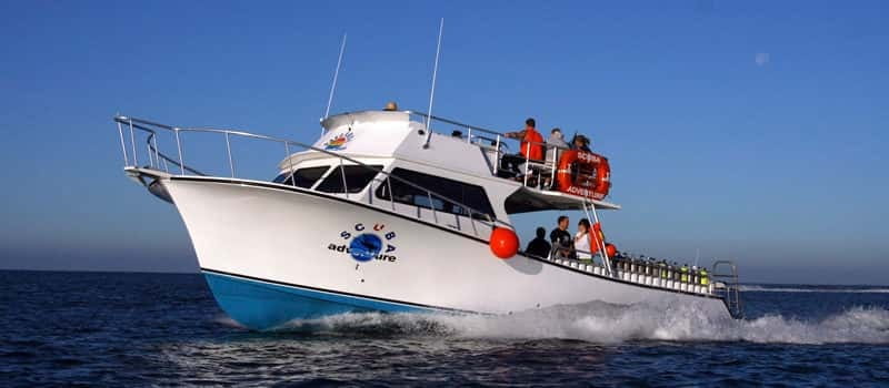 Los Cabos: 3-Hour Introductory Scuba Diving Adventure - Getting to the water: pickup, van ride, and what to look for