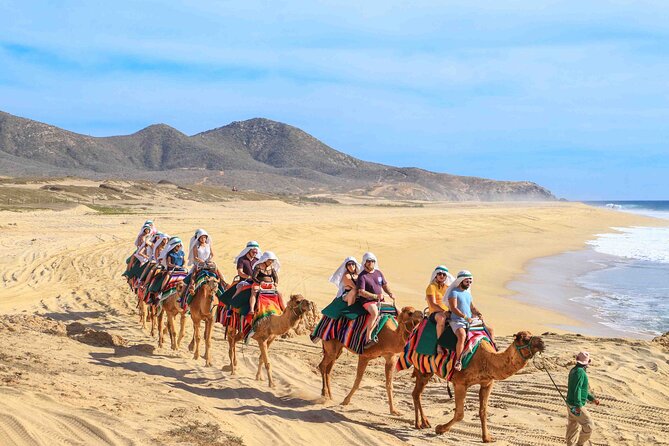 Los Cabos 3 in 1 Adventure: Camel Ride, Lunch and Arch Boat Tour - Quick highlights before you go
