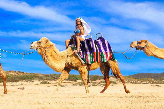 Los Cabos 3 in 1 Adventure: Camel Ride, Lunch and Arch Boat Tour - Stop 1: Playa Migrino camel ride through desert scenery and Pacific breezes