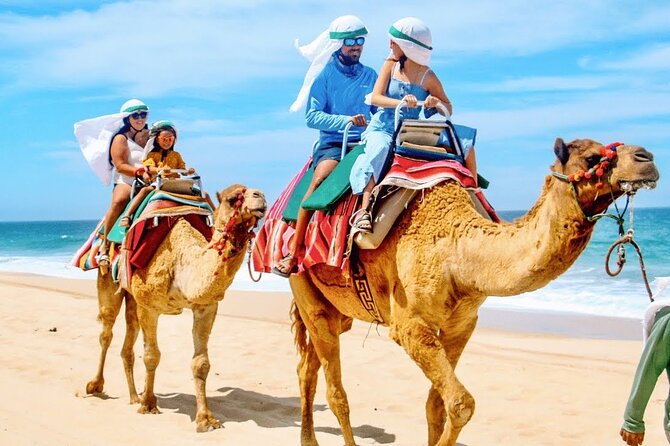 Los Cabos 3 in 1 Adventure: Camel Ride, Lunch and Arch Boat Tour - Lunch and tequila tasting: unlimited buffet with an 18+ rule