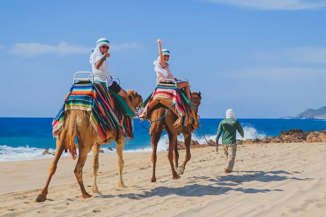 Los Cabos 3 in 1 Adventure: Camel Ride, Lunch and Arch Boat Tour - Group size and what it feels like on the day