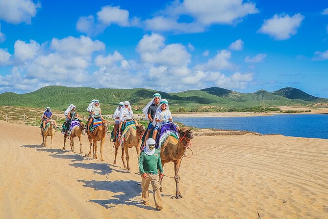 Los Cabos 3 in 1 Adventure: Camel Ride, Lunch and Arch Boat Tour - Practical tips you’ll wish you had before you line up