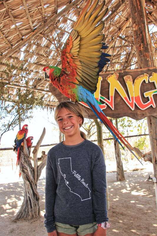 Los Cabos: Animal Encounter & Aqua Park Adventure - Key Highlights You’ll Feel on Day-of