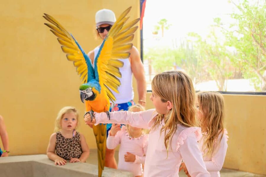 Los Cabos: Animal Encounter & Aqua Park Adventure - My Practical Take: Should You Book This Los Cabos Animal Tour?