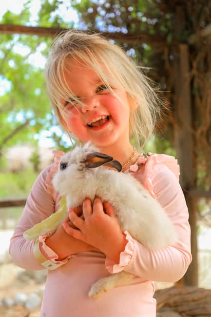 Los Cabos: Animal Encounter & Aqua Park Adventure - Interactive Animal Stations: Where You Actually Get Up Close