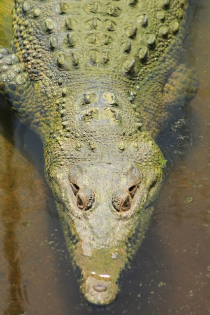 Los Cabos: Animal Encounter & Aqua Park Adventure - Photo Stop, Free Time, and the Swim Break