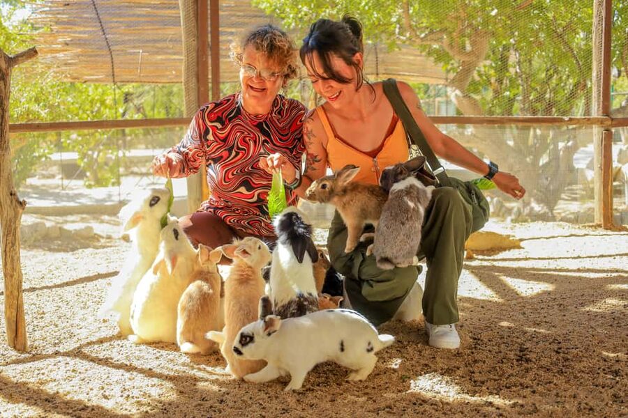 Los Cabos: Animal Encounter & Aqua Park Adventure - Camel Petting and the Hanging Bridge Moment