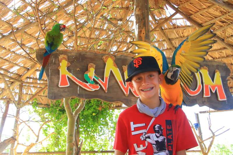 Los Cabos: Animal Encounter & Aqua Park Adventure - Price and the Real Cost: $115 Is the Start, Not the Finish