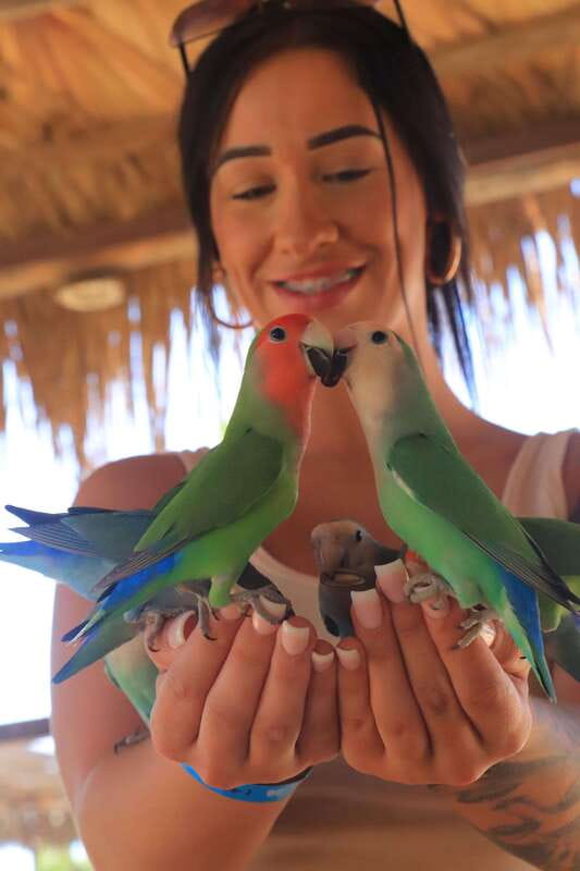 Los Cabos: Animal Encounter & Aqua Park Adventure - What to Bring (So the Day Feels Easy)